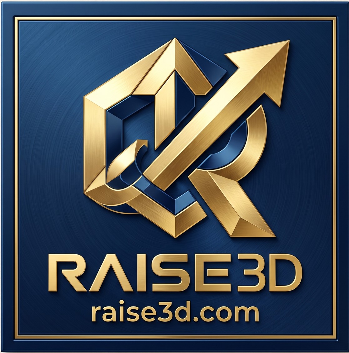 Raise3D