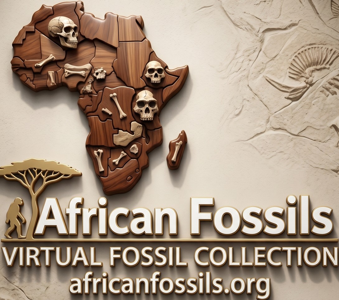 African Fossils preview